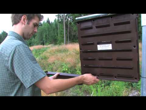 Auf YouTube findest du die angesagtesten Videos und Tracks. Außerdem kannst du eigene Inhalte hochladen und mit Freunden oder gleich der ganzen Welt teilen.