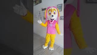 Skye Paw Patrol Costume Party Rental