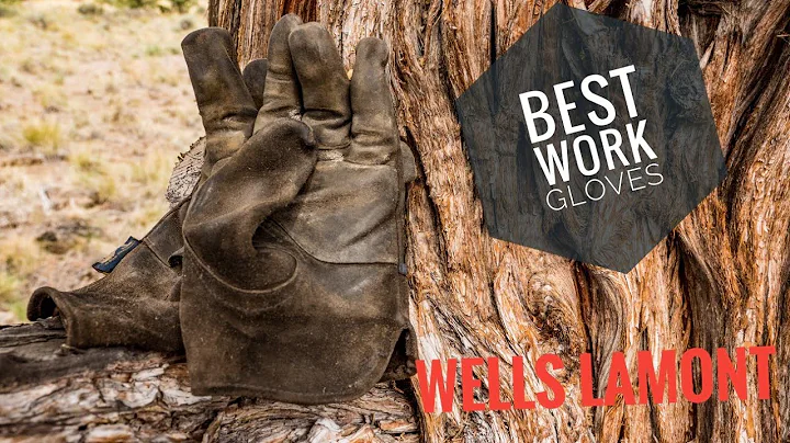 Best Work Gloves - Wildland Fire - Wells lamont