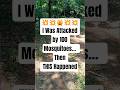 Mosquitoeswereverywherebut Ifoundawaytofght back😳#shorts#survival #experiment #mosquito#jungle#viral