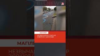 Необычное украшение города заметили жители Могилёва #беларусь #новости #могилев