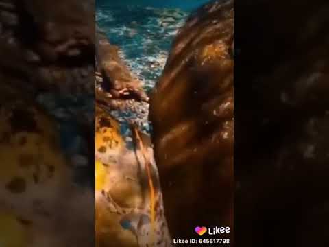 بسم الله الرحمن الرحيم