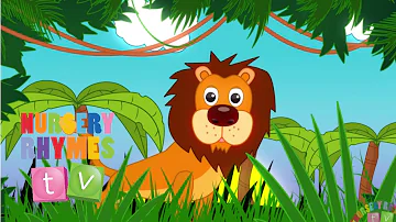ANIMALS IN THE JUNGLE | New Nursery Rhymes | English Songs For Kids | Nursery Rhymes TV