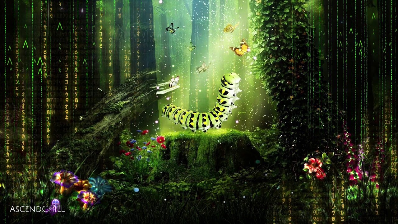 Romantic Music for Lovers [HighVibe LoFi PsyHop ChillHop] ✦ Psychedelic Rainforest Visuals 🐛