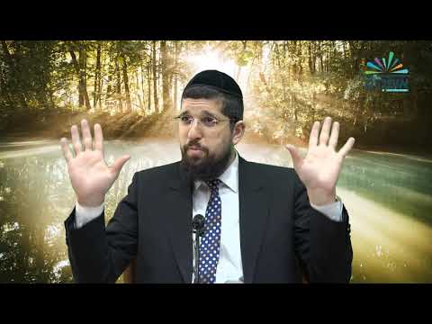 סדרת  נגיף הקורונה - 3 - כיצד מתמודדים יחד - דברי הזוהר