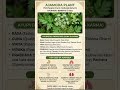 DRUG-AJAMODA🌿✨️ #multivitamins #skincare #natural