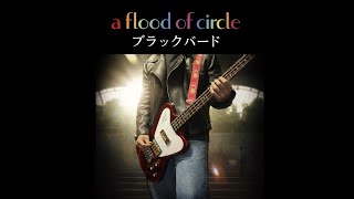 ブラックバード　ベース弾いてみた トムアオヤギ