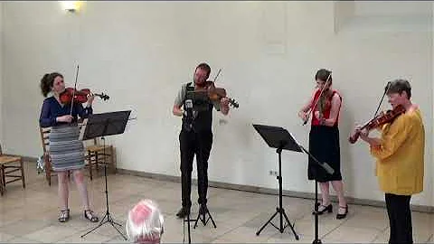 Darren Wirth: Viola Quartet