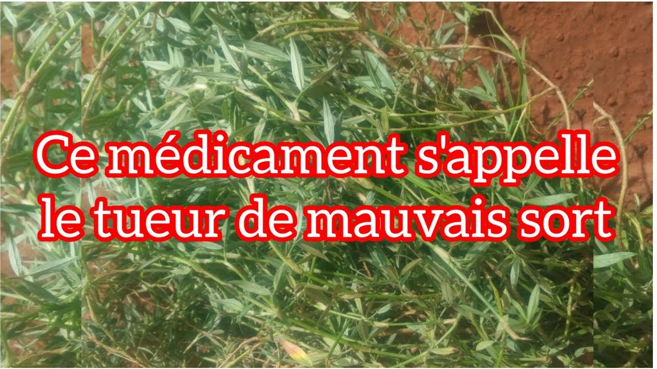 Ce médicament s'appelle le tueur de mauvais sort (Joe-Faga