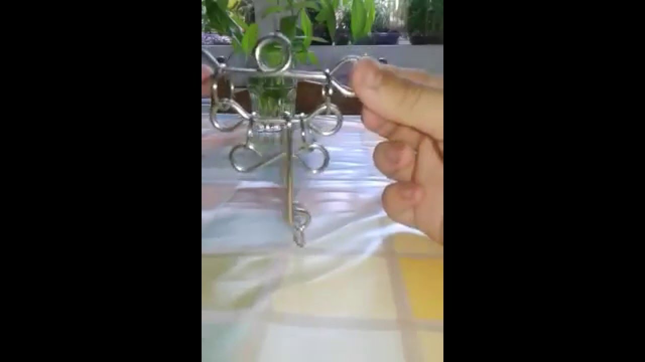 puzzle solution "dirty dog"