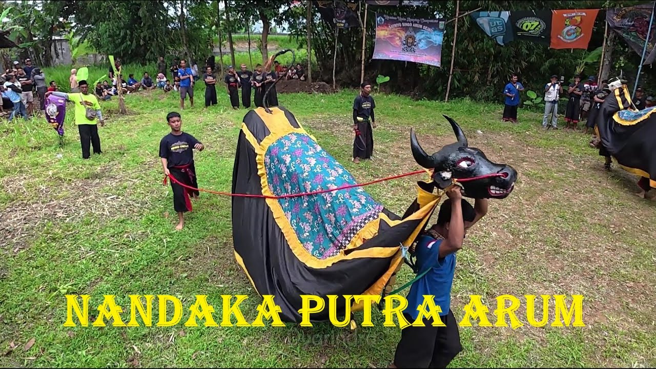 Petualangan seru bareng bantengan Nandaka Putra Arum mberot full kalapan