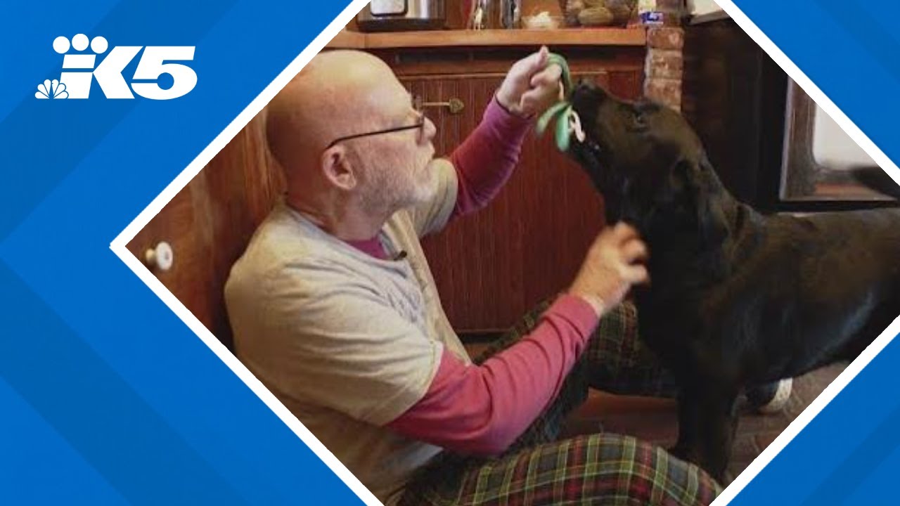 Dog seriously sickened after ingesting common cancer treatment