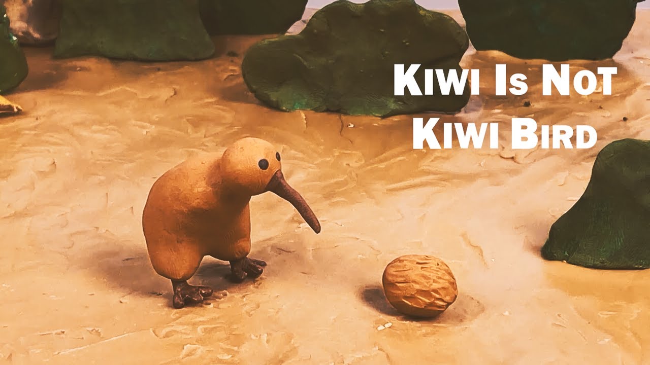 Kiwi is not kiwi bird YouTube