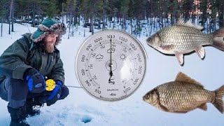 В какую погоду нужно ловить карася?Искусство зимней рыбалки. Как ловить карася зимой?