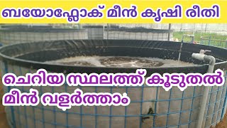 BIOFLOC POND/BIOFLOC IN KERALA/BIOFLOC SETUP/MEEN VALARTHAL/BIOFLOC/GIFT THILAPIA/MST/THILAPIA/FISH screenshot 5