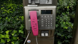 German Language Camp In Hamburg Cbyx 23-24