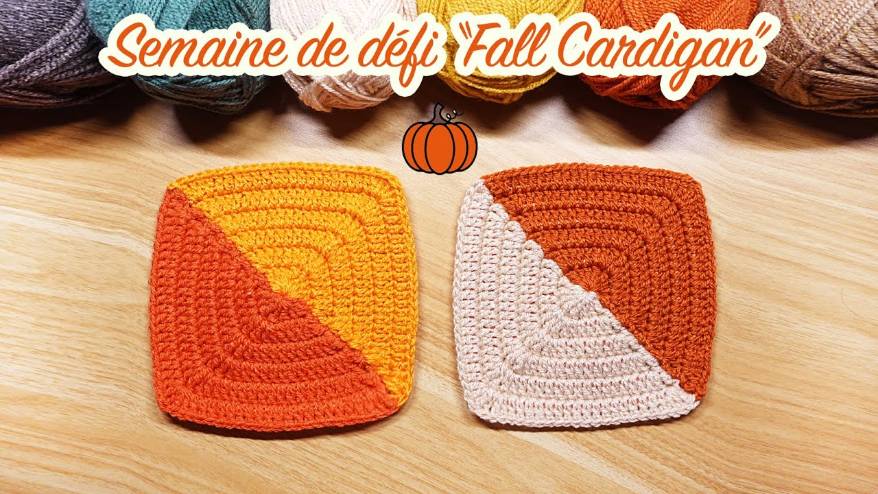 Crochet Semaine défi Fall Cardigan I Jour 4 I Granny 2 couleurs