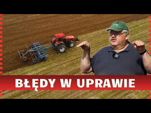 How to Prepare a Field for Cereals? Practical Tips from Professor Piechota. Cultivation Mistakes
