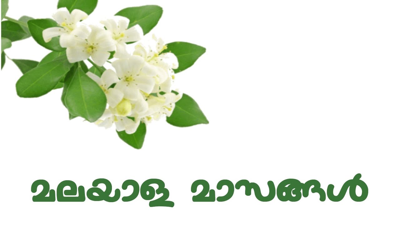 മലയാള മാസങ്ങൾ | Months according to Kollavarsham in Malayalam