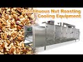 Continuous Nut Roasting Cooling Equipment|Full Automatic Nut Roasting Cooling Processing Machine