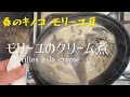 春のキノコ モリーユ茸/モリーユのクリーム煮/Morilles à la crème