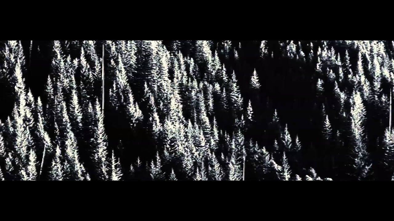 U N I V E R S E - SPZRKT ( @SPZRKT @STRT_TRBL)