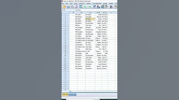 Auto Recode in SPSS