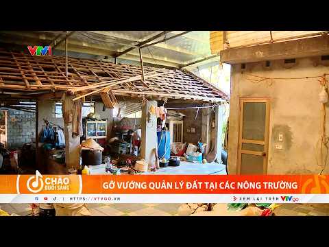 Farm workers land-granted and settled for 40 years still without land titles | News Brief | VTV24