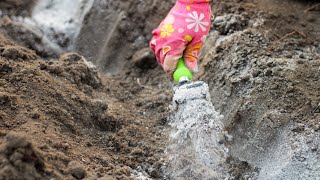 Pepeo Je Najbolje Prirodno Djubrivo Ali Ove Biljke Može Da Uništi