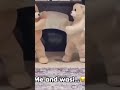 …