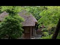 新曲「宝もの」/三山ひろし cover 文夫(聖風)