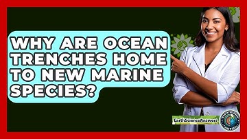 Why Are Ocean Trenches Home To New Marine Species? - Earth Science Answers