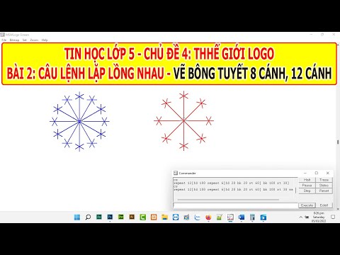 Video: Làm thế nào lớn có thể có một bông tuyết?