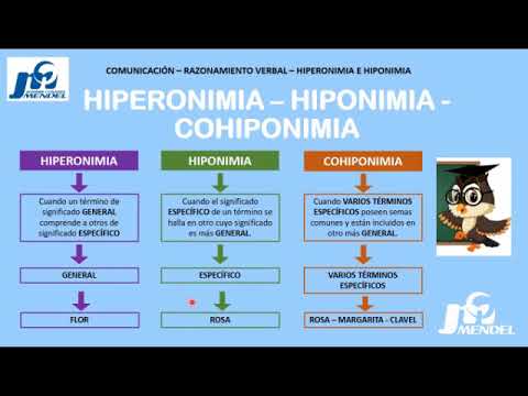 Hiperonimia e Hiponimia