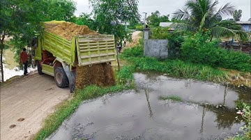 First StartOpening New Project!Dump Truck PouringDelete,Feild,Develop,Expert Use Dozer Pushing Soil 