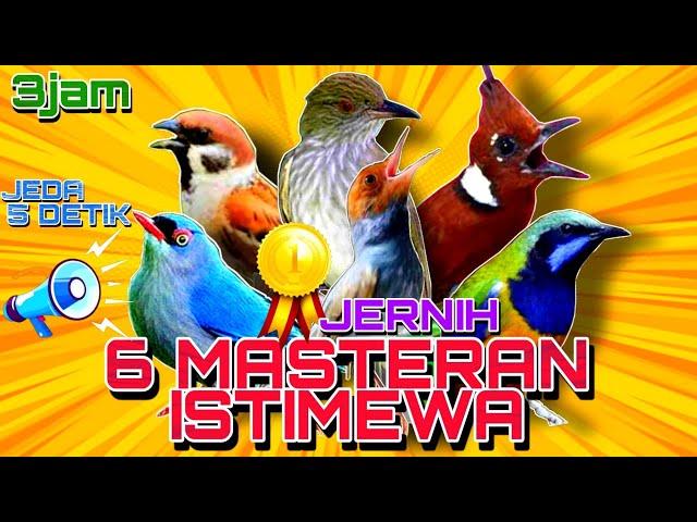 🔴Masteran Untuk Burung Lomba |Terbukti Ampuh Langsung Nyaut |Full 3Jam Jeda 5Detik#6Masteranistimewa class=