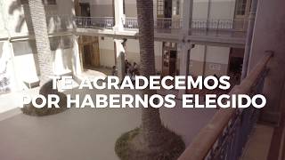 Feliz Año Nuevo Les Desea Derecho Pucv