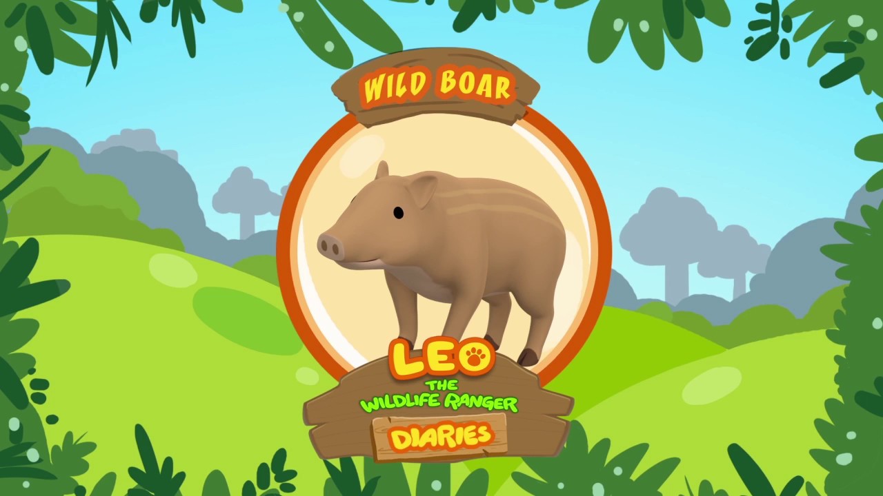 Wild Boar - Leo The Wildlife Ranger Animal Diaries | Animal Facts for Kids  - YouTube