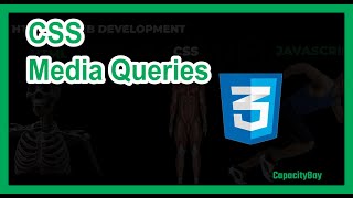 CSS Media Queries | Learn CSS 13