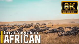 Our Planet | 4K African Wildlife - Great Migration from the Serengeti to Zimbabwe National Park #1
