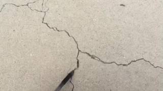 IMG 0816 MOV