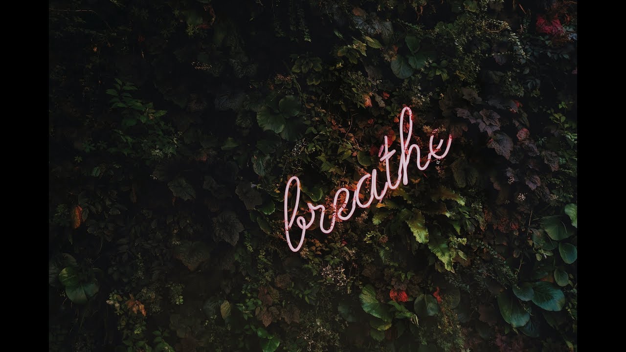 what-to-do-when-you-hate-your-life-youtube