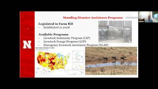 The Growing Role of Government in Livestock Markets (March 16, 2023 Webinar)