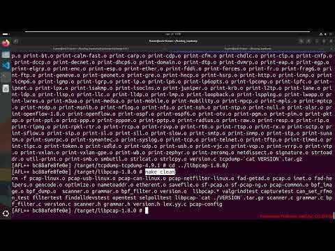 Fuzz1001 06 04 tcpdump