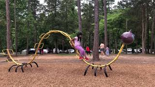 Its Not An Ant Its A Caterpillar