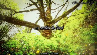 UARAL🎧Niche (Sub Esp/Lyrics) 4K UHD Thumb