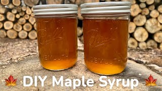 DIY Maple Syrup! (Mistakes Were Made)