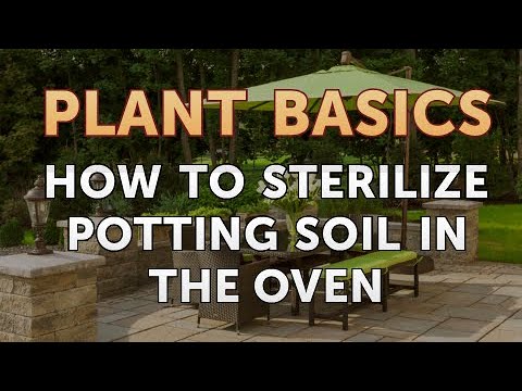 How to Sterilize Potting Soil in the Oven - YouTube