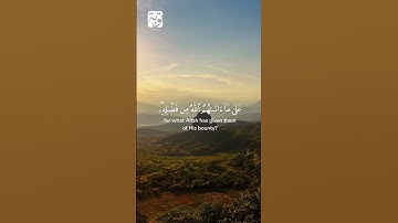 الآية 54 من سورة النساء #سعد_الغامدي #راحة_نفسية #اكسبلور #سورة_النساء