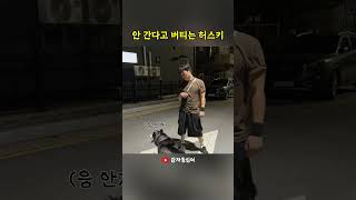 대형션 산책의 현실 #감자옹심이 #허스키감자 #대형견산책 #dogshorts #funnyshorts